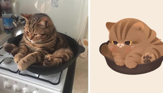 20 ilustraciones increíblemente lindas de animales lindos de Internet 20 ilustraciones increíblemente lindas de animales lindos de Internet