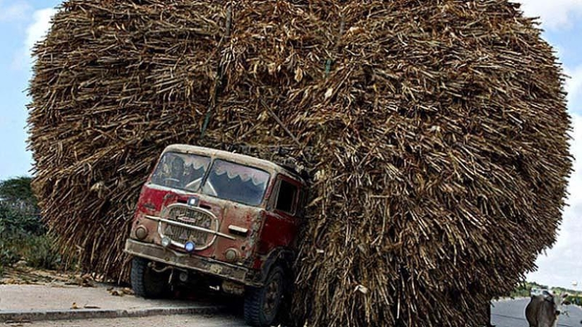 20 images that, as hard as it is to believe, were made without photoshop