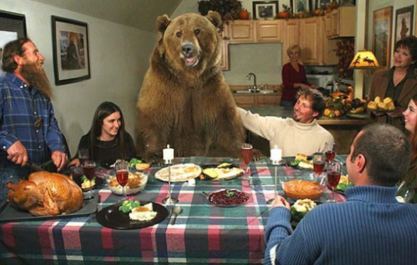 20 images that, as hard as it is to believe, were made without photoshop