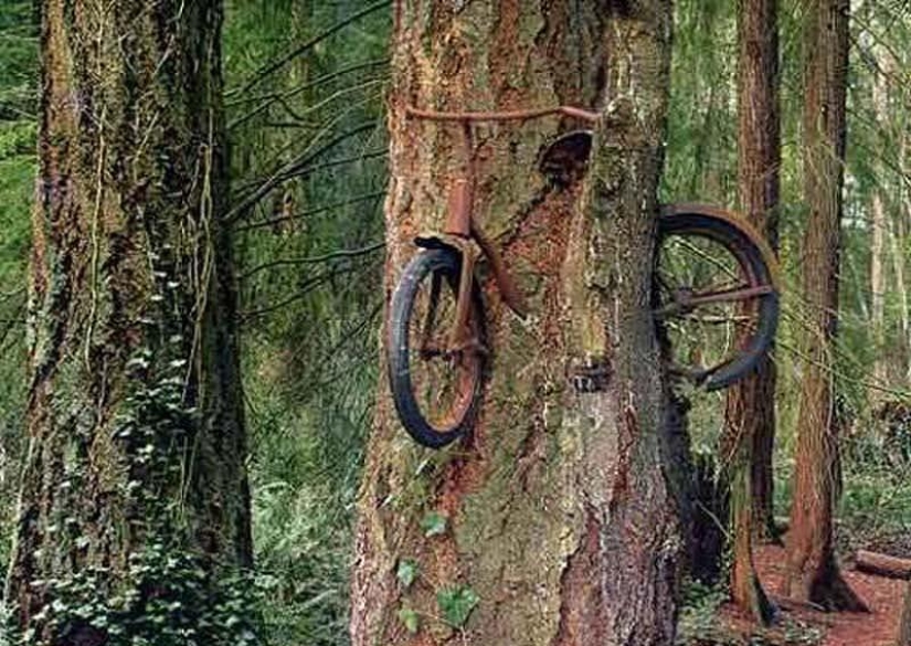 20 images that, as hard as it is to believe, were made without photoshop