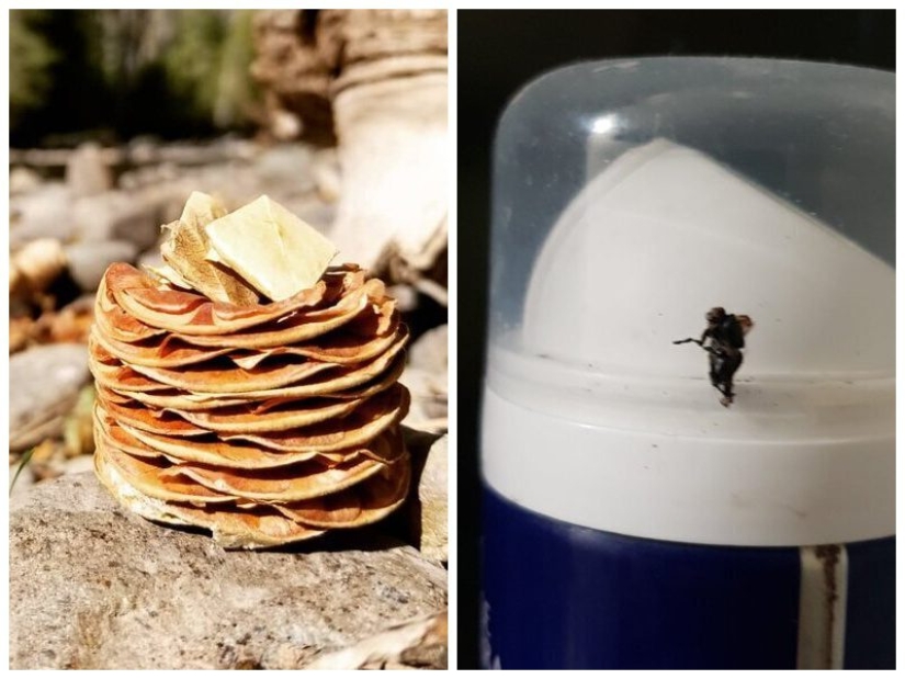 20 interesting fataility that will bring you into confusion