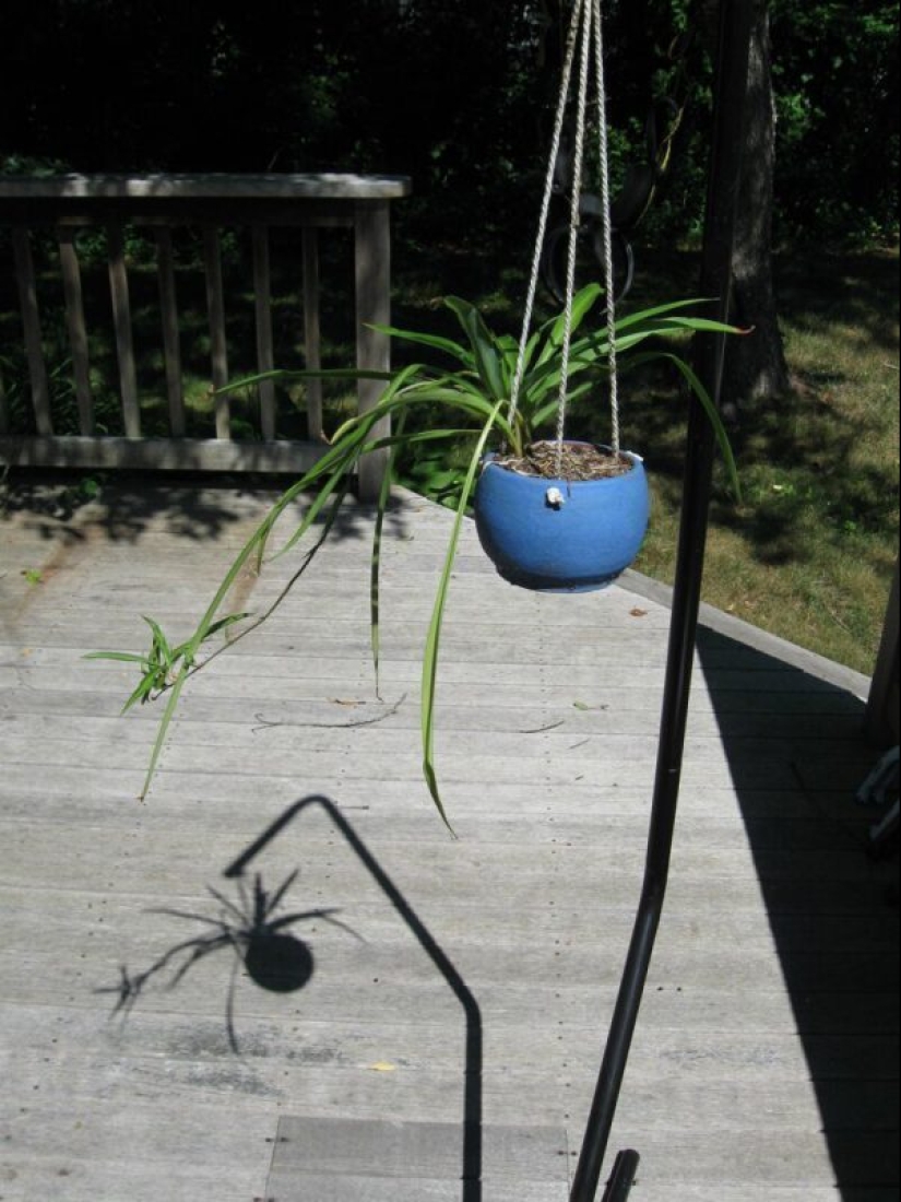 20 interesting fataility that will bring you into confusion