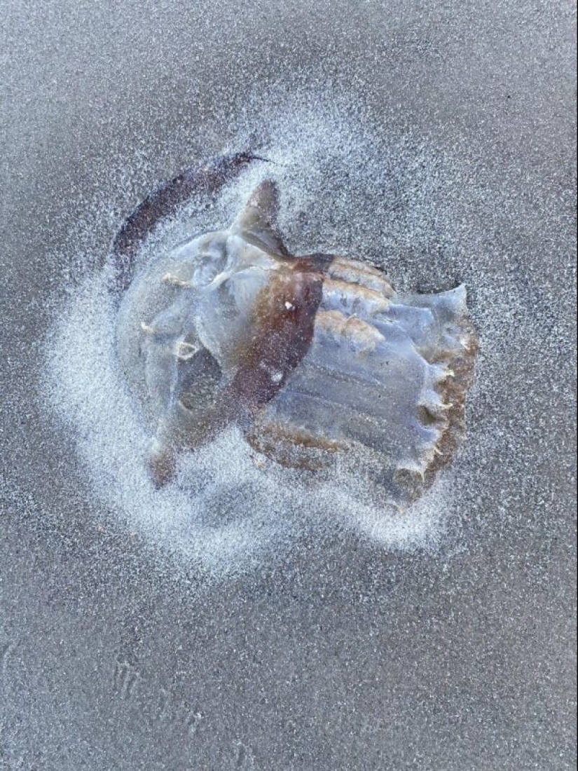 20 interesting fataility that will bring you into confusion