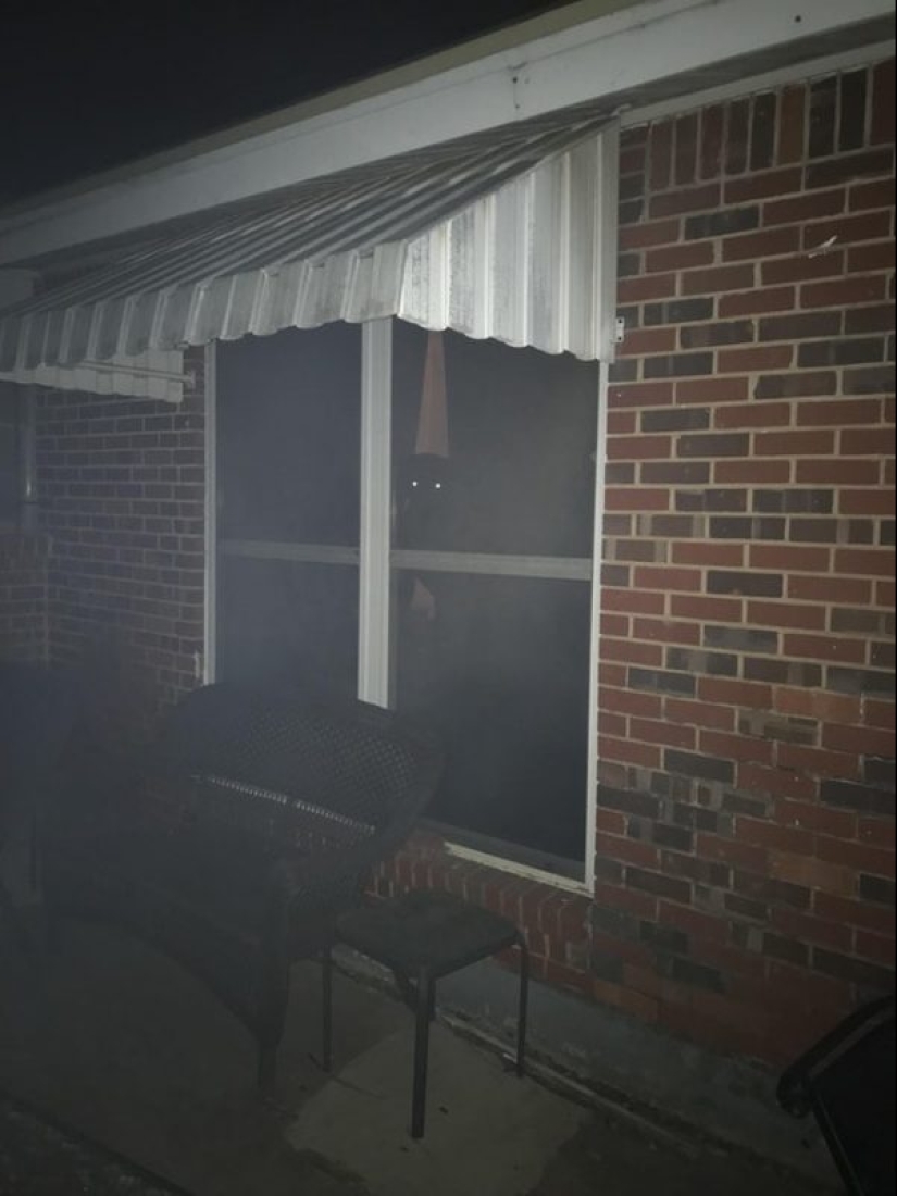 20 interesting fataility that will bring you into confusion