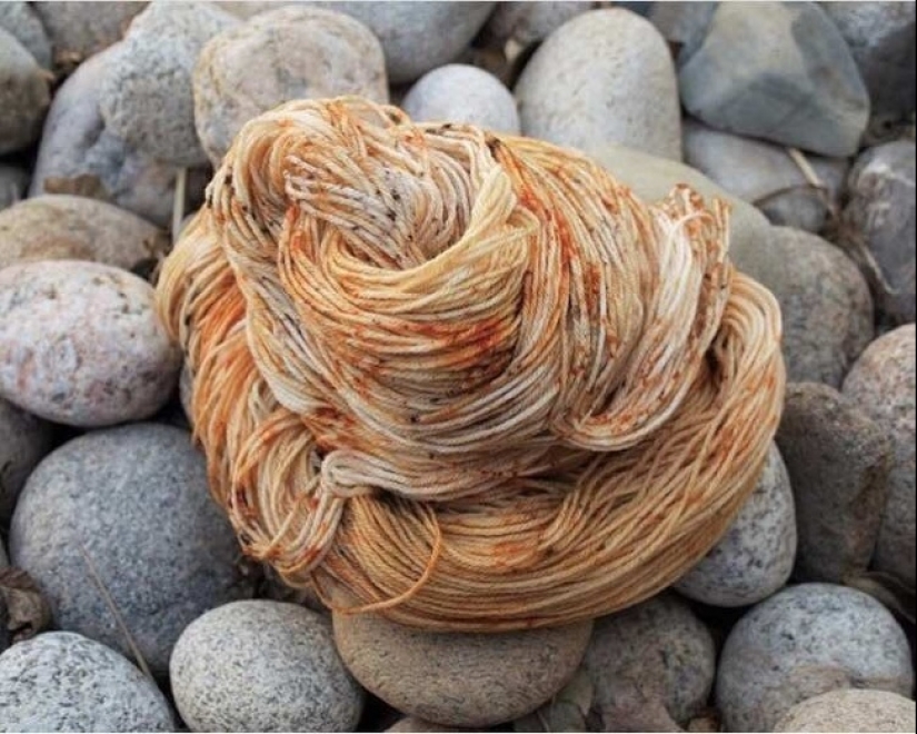 20 interesting fataility that will bring you into confusion