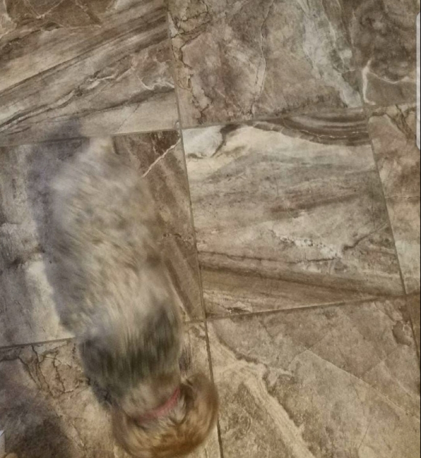 20 interesting fataility that will bring you into confusion