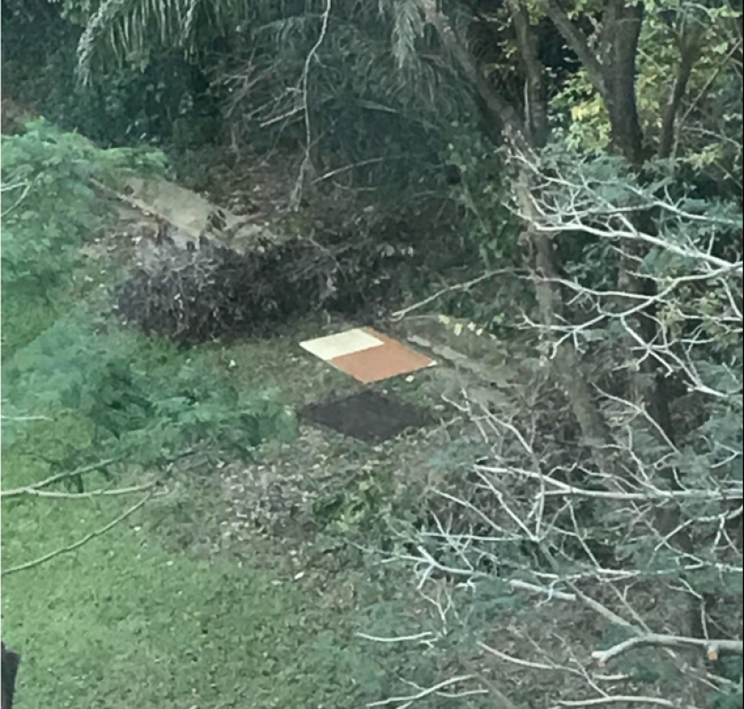 20 interesting fataility that will bring you into confusion