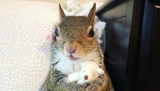 20+ interesting photos that will become your antidote to a bad day 20+ interesting photos that will become your antidote to a bad day