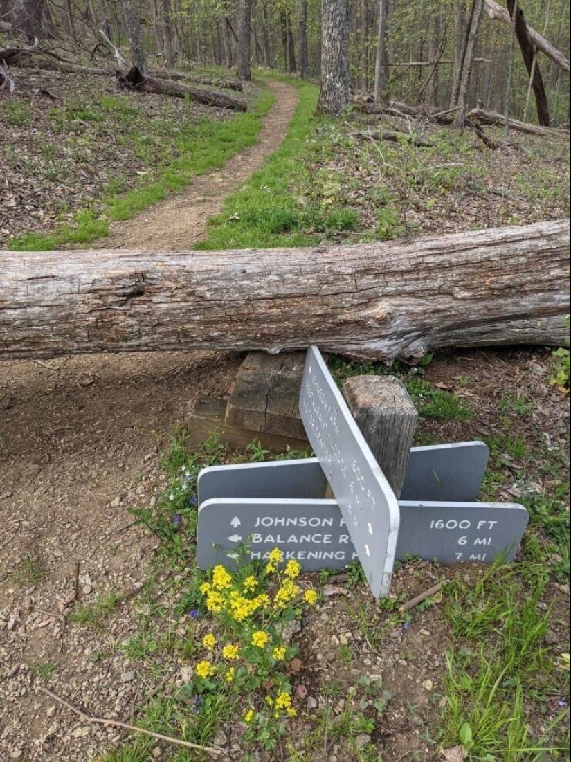 20+ interesting photos with rare and unusual phenomena 20+ interesting photos with rare and unusual phenomena