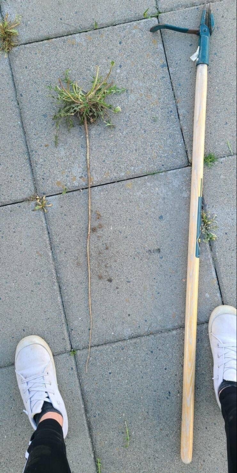 20+ interesting photos with rare and unusual phenomena 20+ interesting photos with rare and unusual phenomena