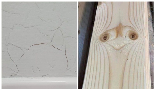 20 items that pretend to be other items