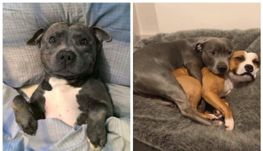 20 la mayoría de los Mimino y divertidas fotos para establecer el estado de ánimo 20 la mayoría de los Mimino y divertidas fotos para establecer el estado de ánimo