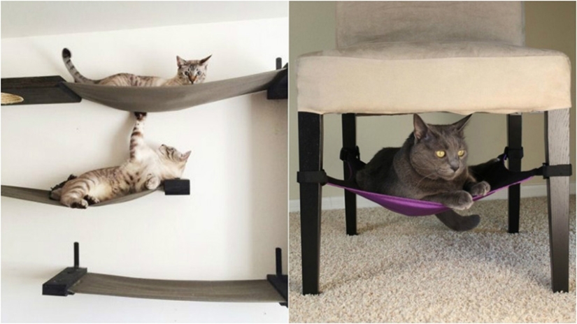 20 la vida hacks para los felices dueños de gatos 20 la vida hacks para los felices dueños de gatos