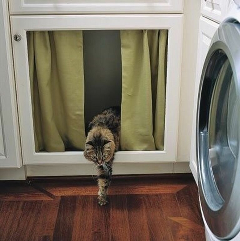 20 la vida hacks para los felices dueños de gatos 20 la vida hacks para los felices dueños de gatos