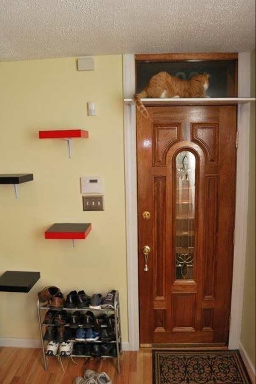 20 la vida hacks para los felices dueños de gatos 20 la vida hacks para los felices dueños de gatos