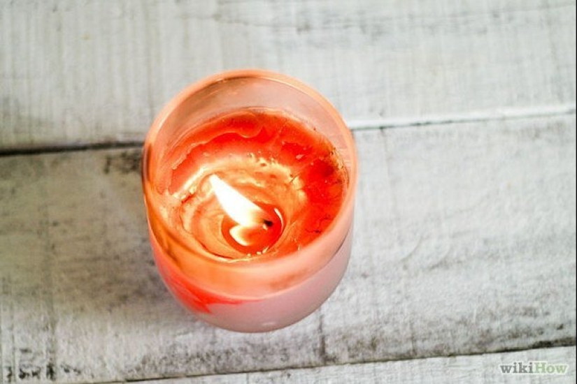 20 life hacks for happy cat owners