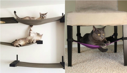 20 life hacks for happy cat owners 20 life hacks for happy cat owners