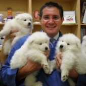 20 lindas pruebas de que un veterinario es una profesión de vuelo