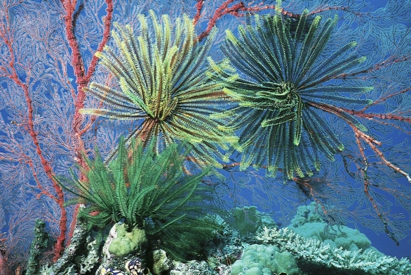 20 lugares donde el color gobierna el mundo