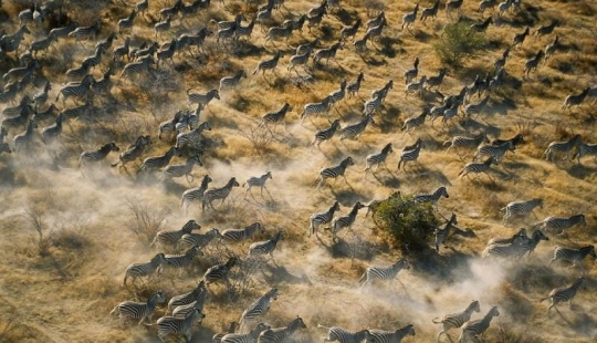 20 lugares donde se encuentran animales raros 20 lugares donde se encuentran animales raros