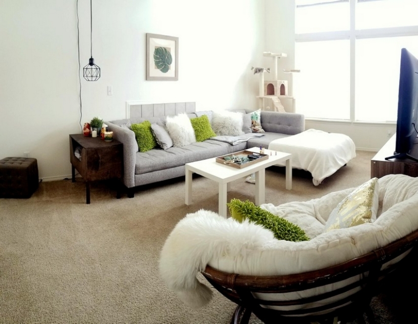 20 maneras para hacer que el interior de la única