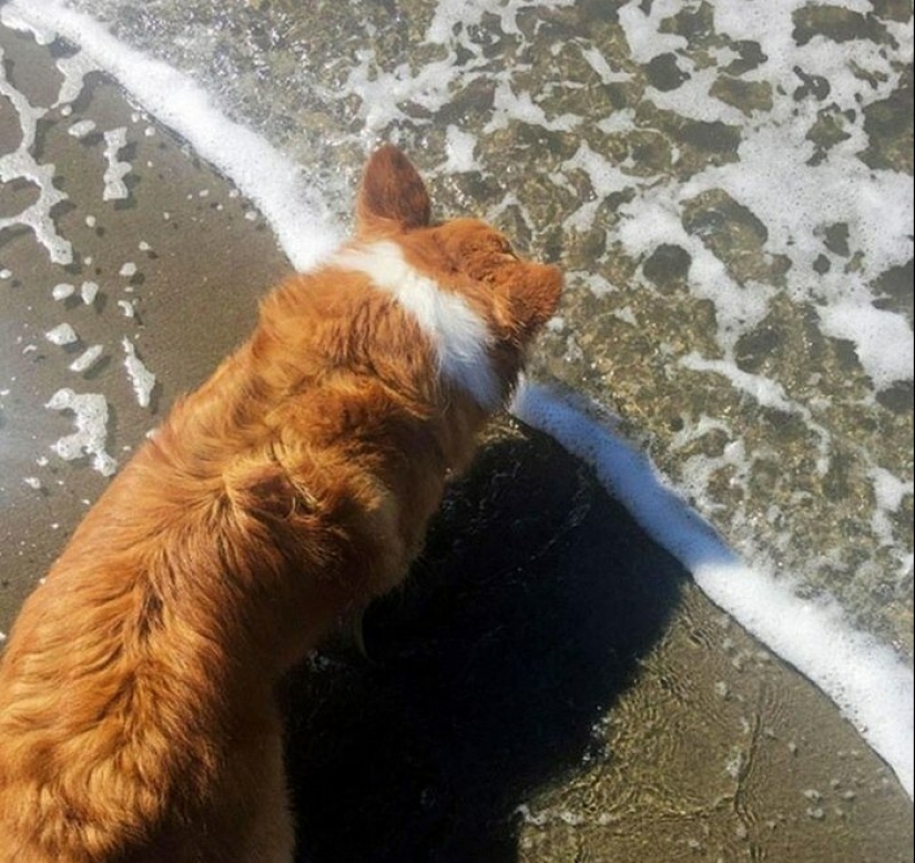 20 marco perfecto, una realidad que incluso difícil de creer