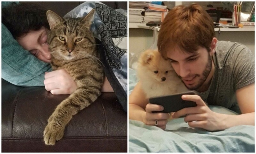 20+ Mascotas que descaradamente se llevó la segunda mitad de sus propietarios