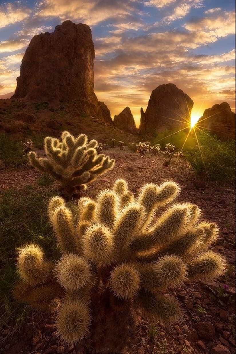 20 mejores fotos tomadas al amanecer 20 mejores fotos tomadas al amanecer