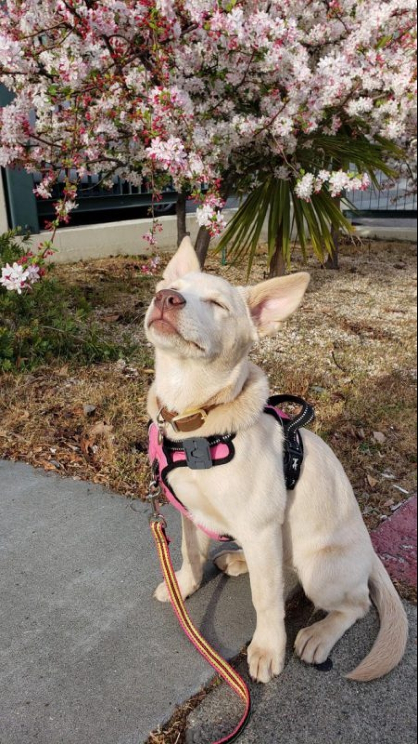 20 Mimino photos, after seeing that the soul becomes warmer 20 Mimino photos, after seeing that the soul becomes warmer