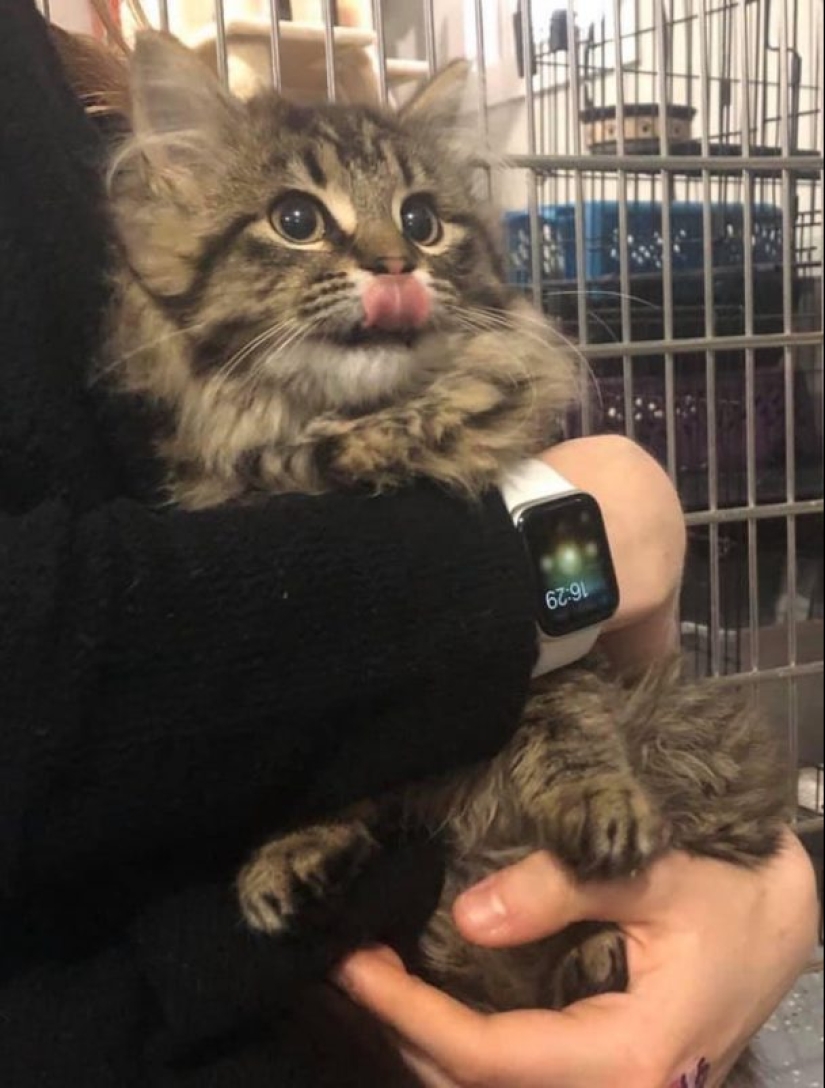 20 Mimino photos, after seeing that the soul becomes warmer 20 Mimino photos, after seeing that the soul becomes warmer