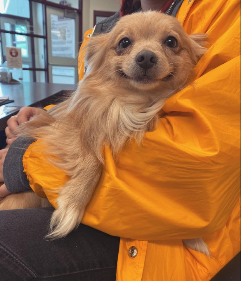 20 Mimino photos, after seeing that the soul becomes warmer 20 Mimino photos, after seeing that the soul becomes warmer