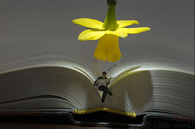 20 miniaturas bellamente detalladas creadas por estos artistas