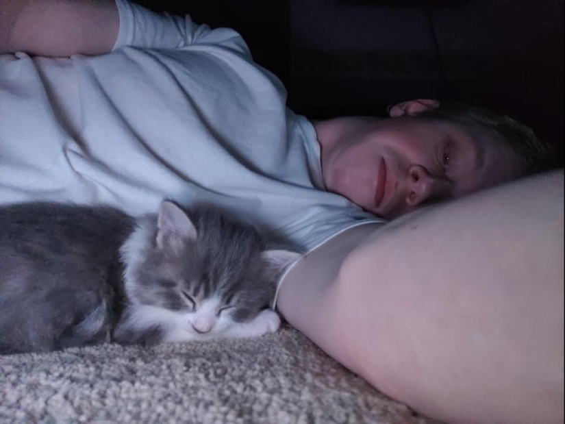 20 most Mimino and funny photos to set the mood