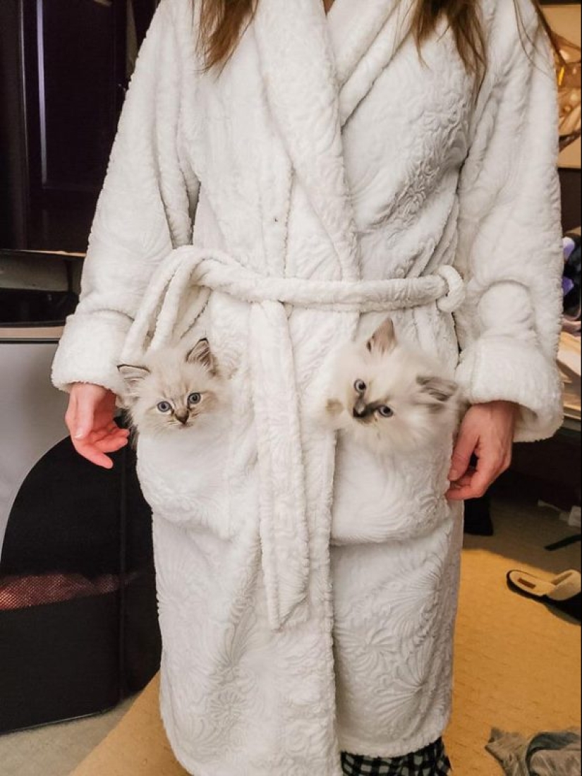 20 most Mimino and funny photos to set the mood