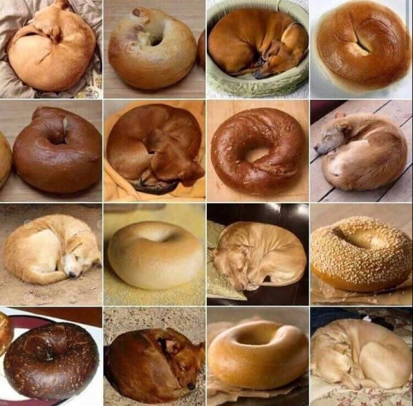 20 non-edible items, which for some reason I want to eat