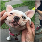 20+ of dogs with the cutest cheeks that are impossible not to cuddle