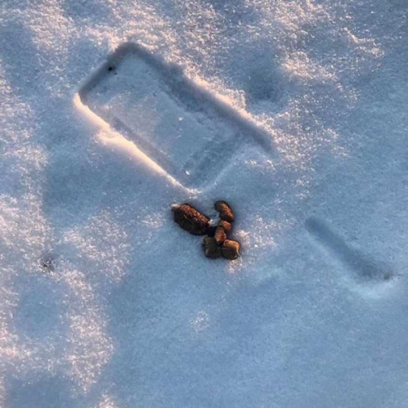 20 of the lucky ones who managed to avoid disaster