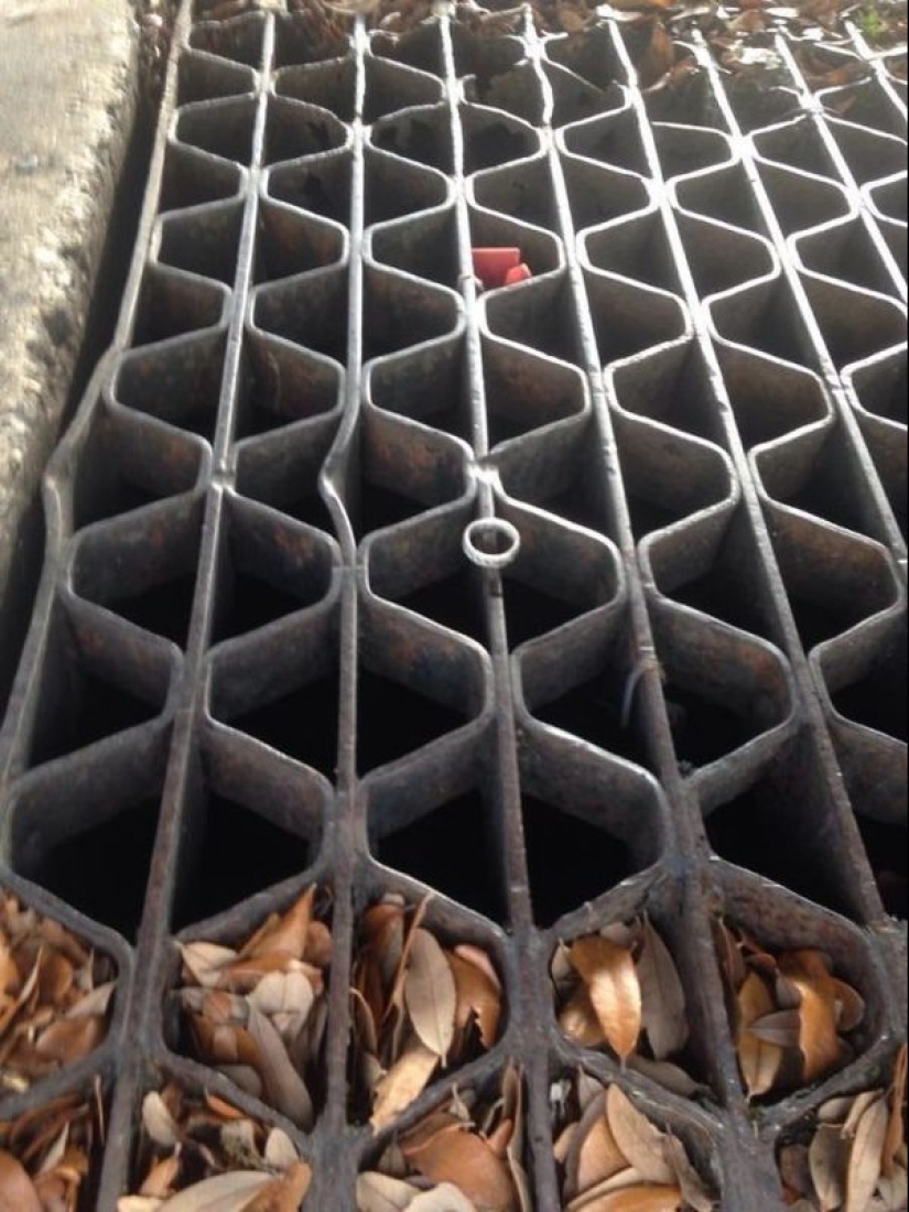 20 of the lucky ones who managed to avoid disaster