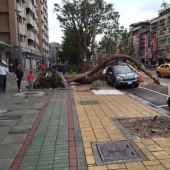 20 of the lucky ones who managed to avoid disaster