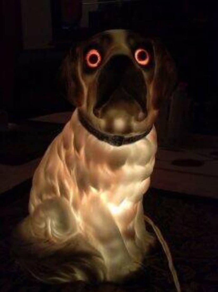 20 of the weirdest and strangest things from relatives ' homes 20 of the weirdest and strangest things from relatives ' homes