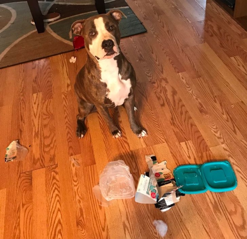 20 offensive cases when someone is very unlucky 20 offensive cases when someone is very unlucky