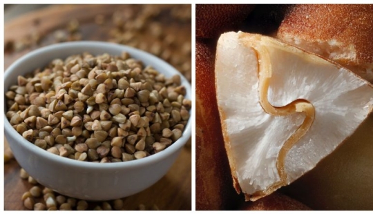 20 outwardly inconspicuous things that turned out to be surprisingly beautiful on the inside 20 outwardly inconspicuous things that turned out to be surprisingly beautiful on the inside