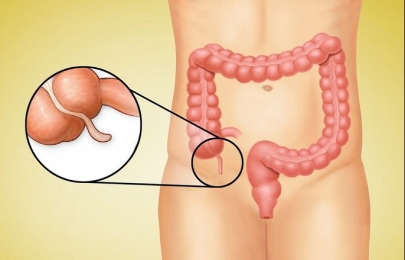 20 partes del cuerpo humano que son un ejemplo de mal diseño