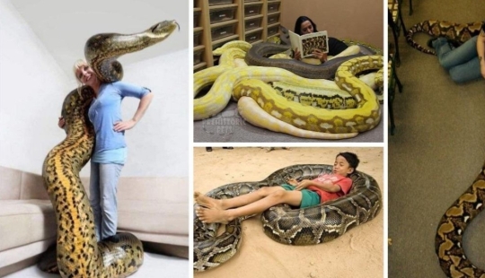 20 people who got a python, but did not calculate its size