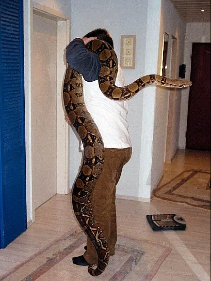 20 people who got a python, but did not calculate its size 20 people who got a python, but did not calculate its size