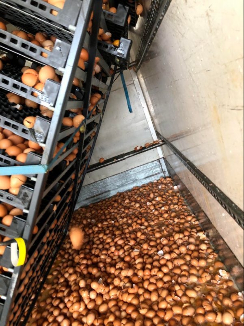 20 people whose day didn't start the way I wanted it to