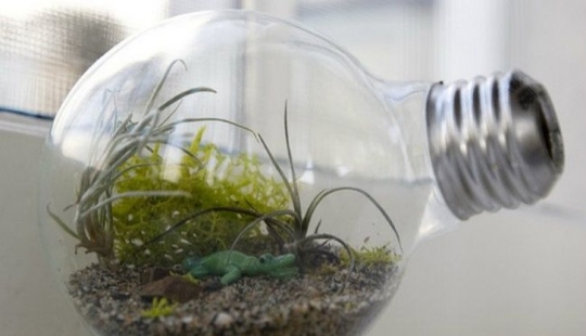 20 pequeños jardines que caben en la palma de tu mano 20 pequeños jardines que caben en la palma de tu mano