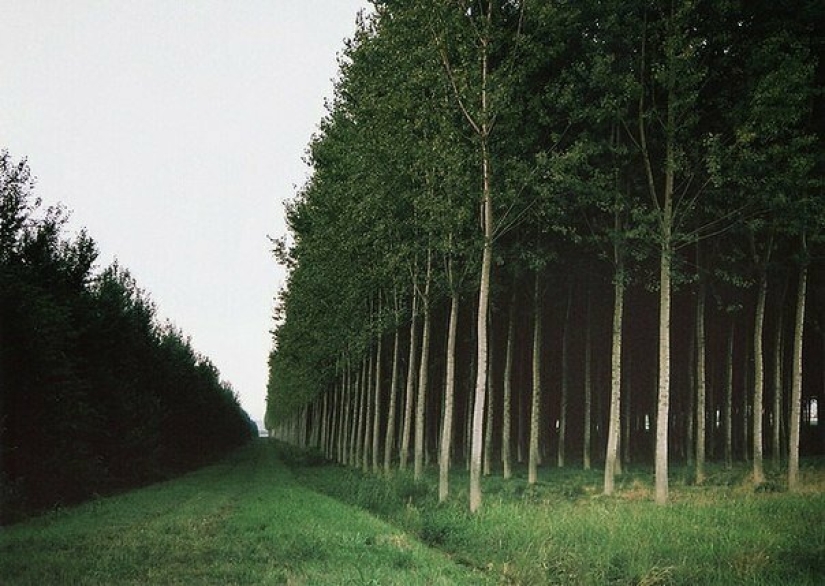 20 perfect frame, a reality which even hard to believe