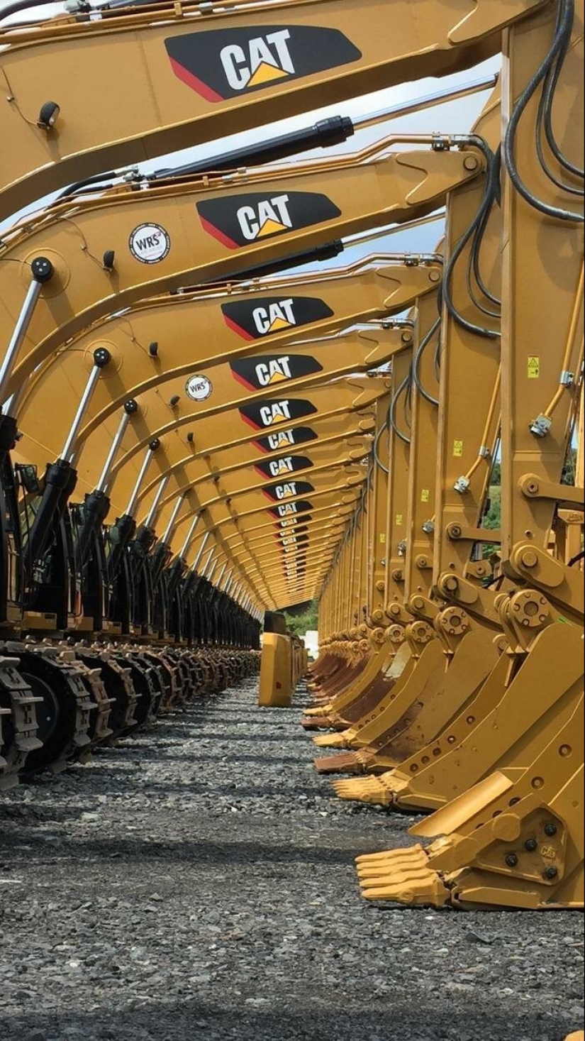 20 perfect frame, a reality which even hard to believe