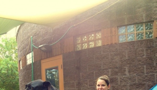 20 perros grandes que no tienen idea de lo grandes que son 20 perros grandes que no tienen idea de lo grandes que son